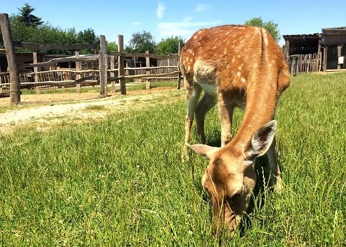 Puchner Kastelyszallo Premium